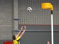 Geelse-KCOV21-02-2010077 (Large)